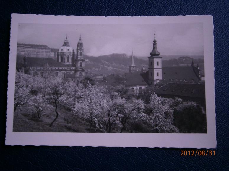 Obrázek vložený uživatelem