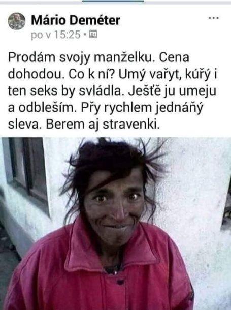 Obrázek vložený uživatelem