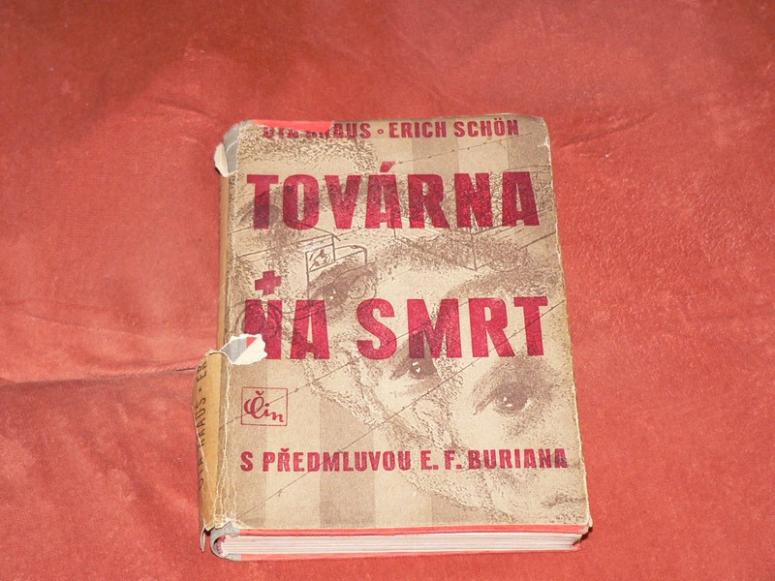 Obrázek vložený uživatelem