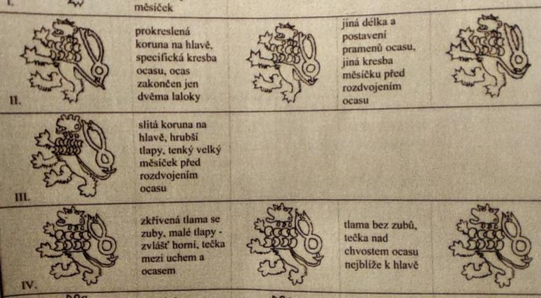 Obrázek vložený uživatelem