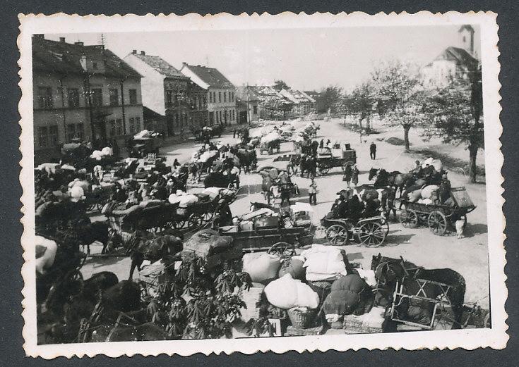 Obrázek vložený uživatelem