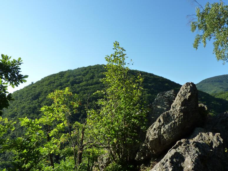 Obrázek vložený uživatelem